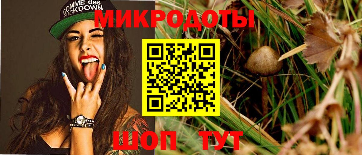 Галлюциногенные грибы GOLDEN TEACHER  Вход с VPN  Светлоград 